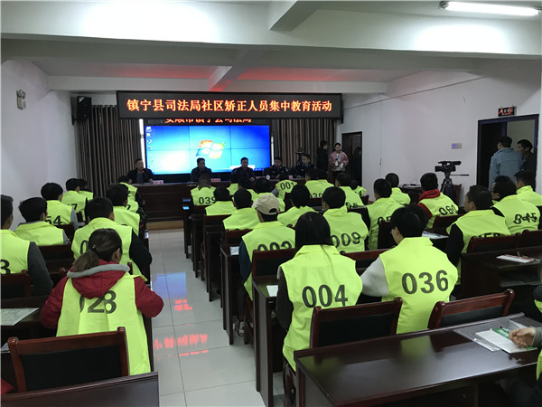 集体教育活动.jpg