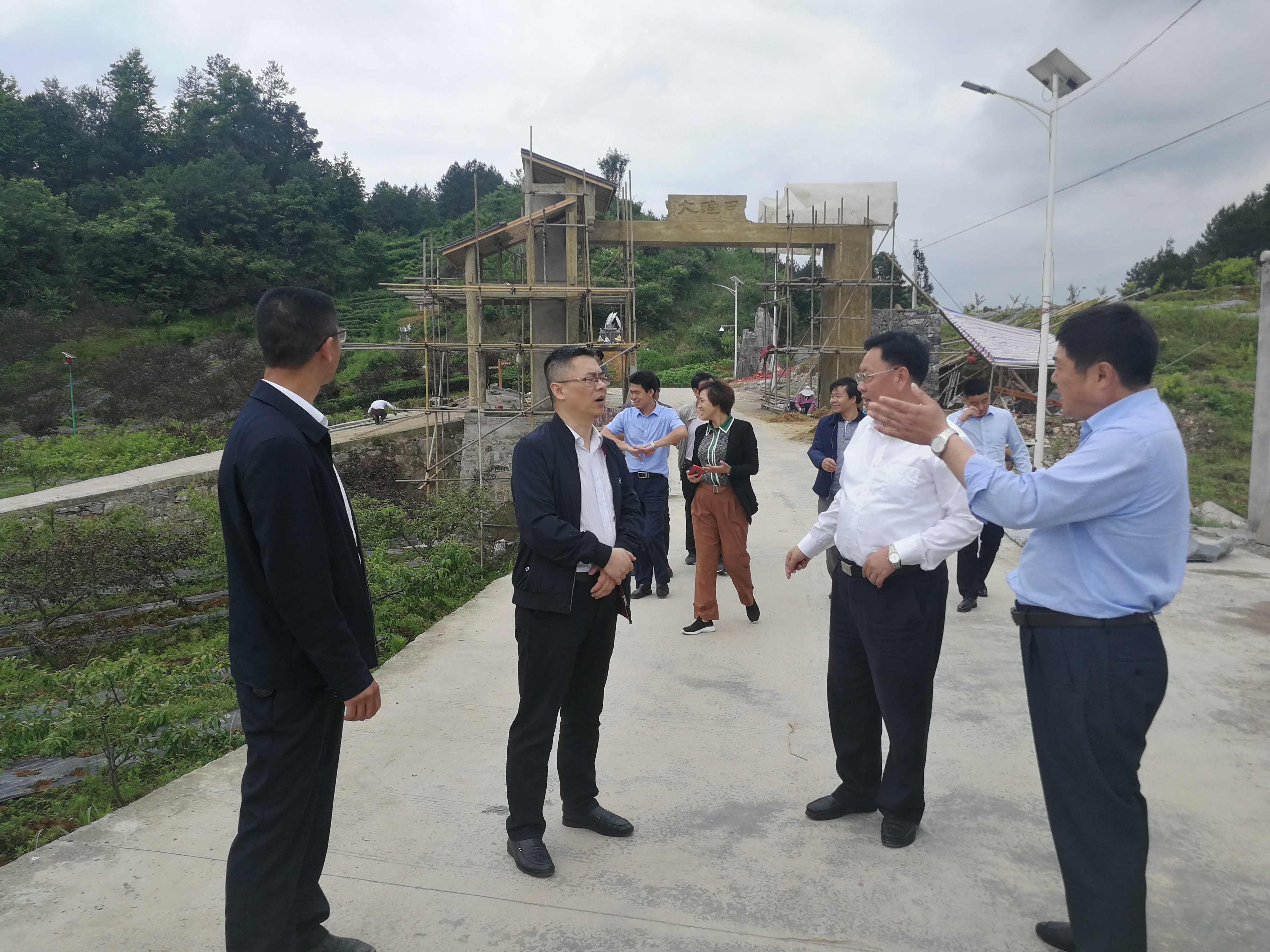 丁主任调研在进化中心村“双有机”示范点.jpg