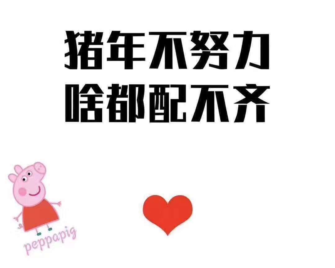 猪年不努力，啥都配不齐.jpg