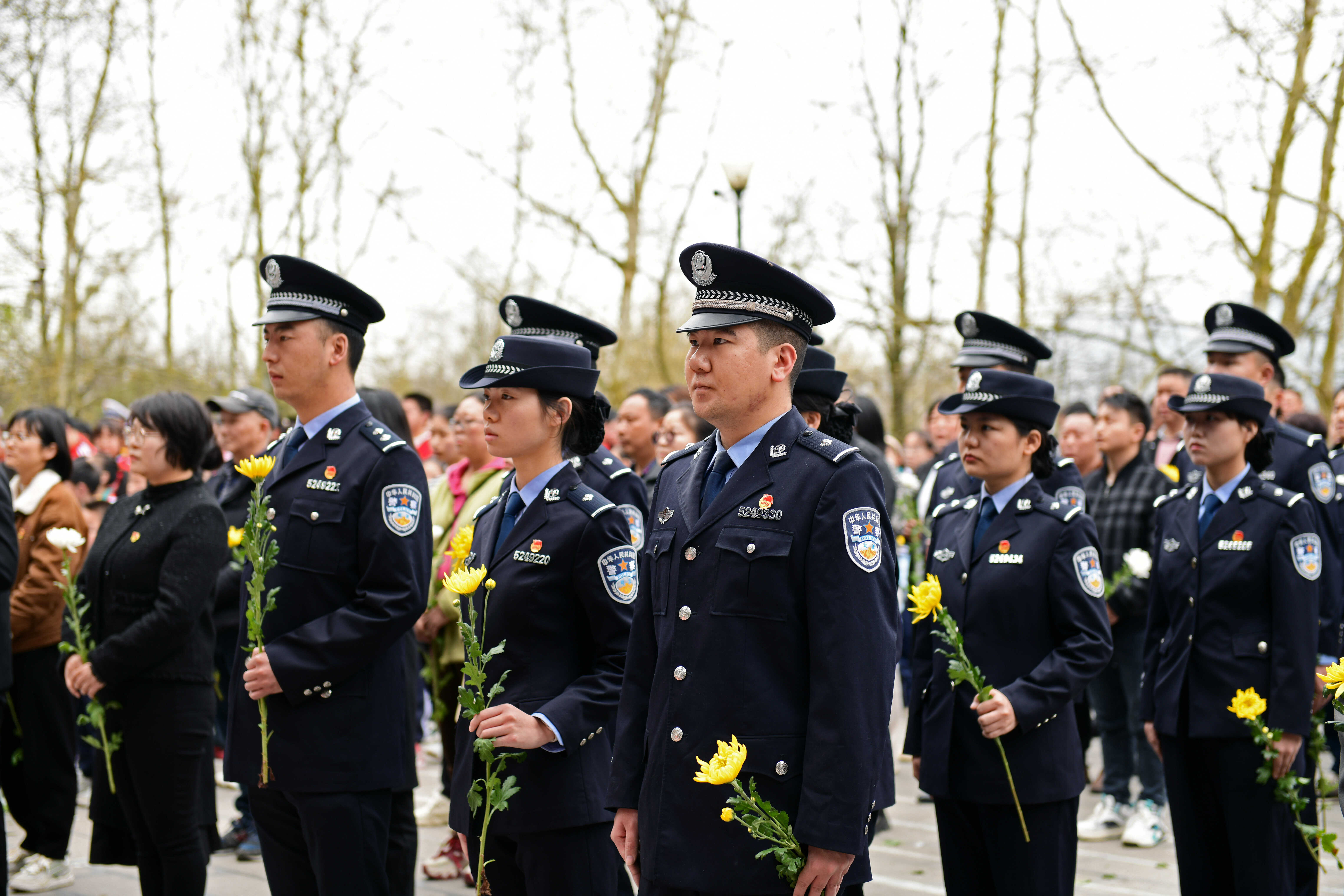 清明祭英烈