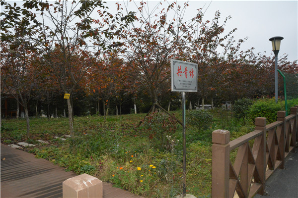 DSC_1091.JPG