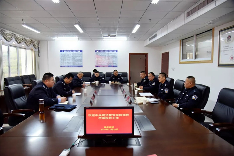座谈会.webp.jpg