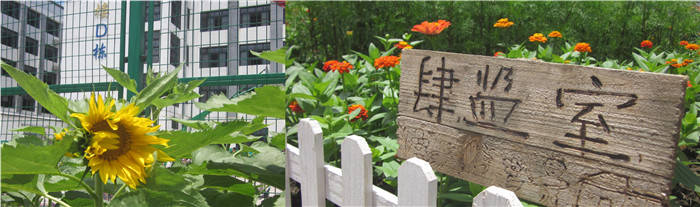 造型花区.jpg
