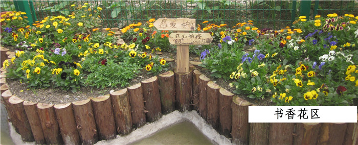 书香花区.JPG