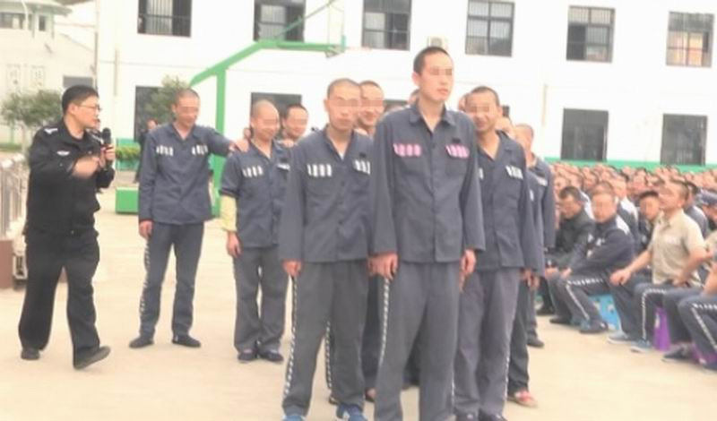 家庭排列系统引导2.jpg