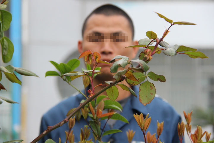 img_2860_副本.jpg