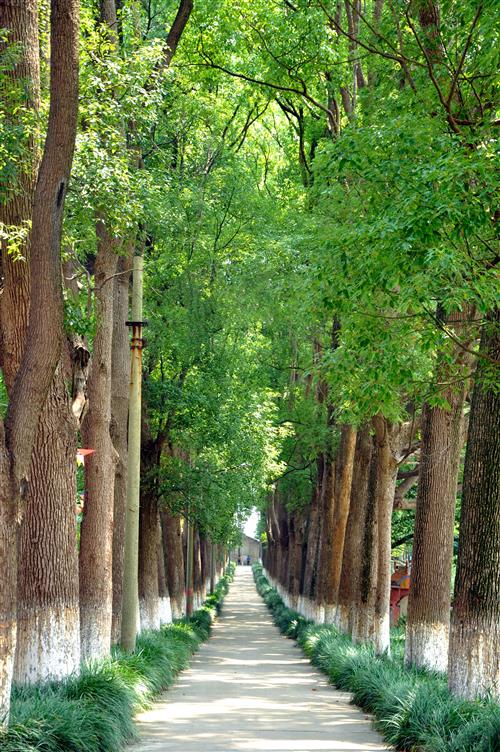 DSC_0044_副本.jpg