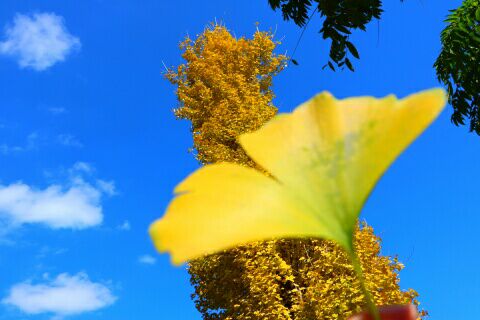 B766280D2FD98ACB16CC779241FAEE25.jpg
