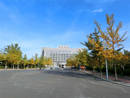 1107_2.jpg