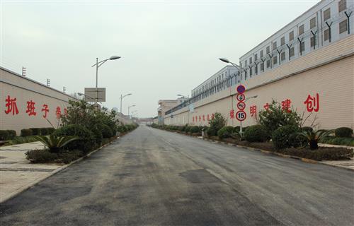IMG_1800_副本.jpg