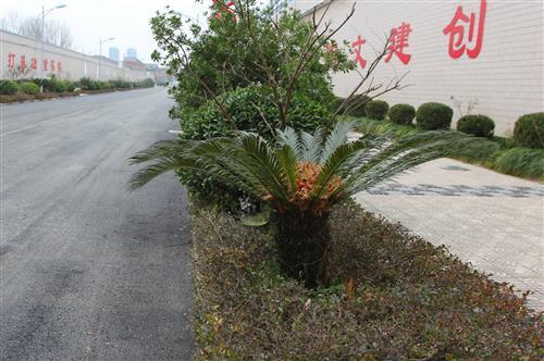 IMG_1806_副本.jpg