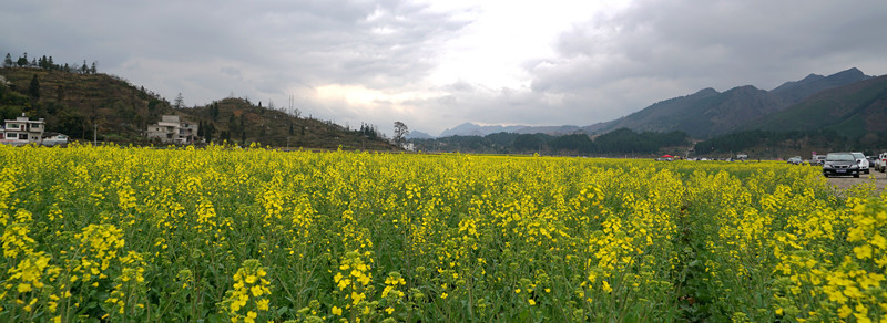 春满乡村_副本.jpg