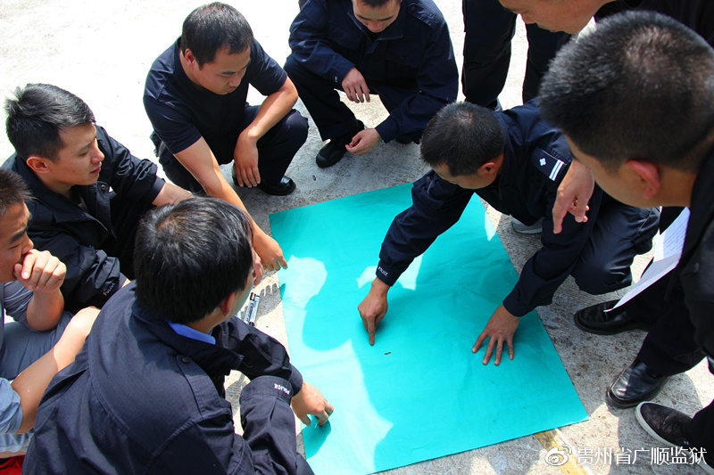 《合作绘画》大家商量商量画什么