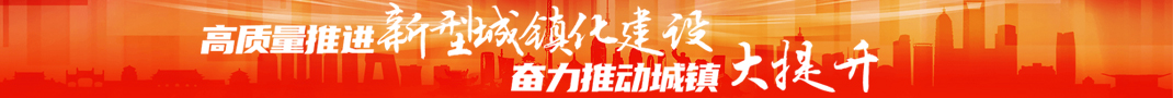 高质量推进新型城镇化建设 奋力推动城镇大提升