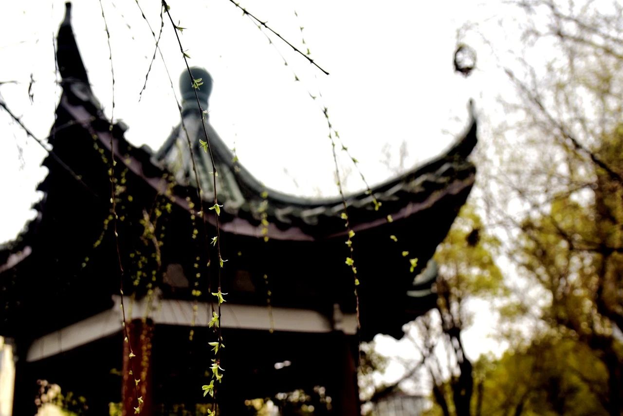 《春意》