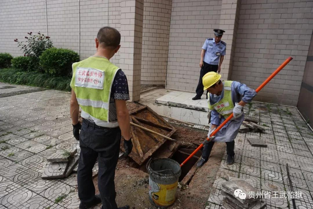 微信图片_20190603091035.jpg