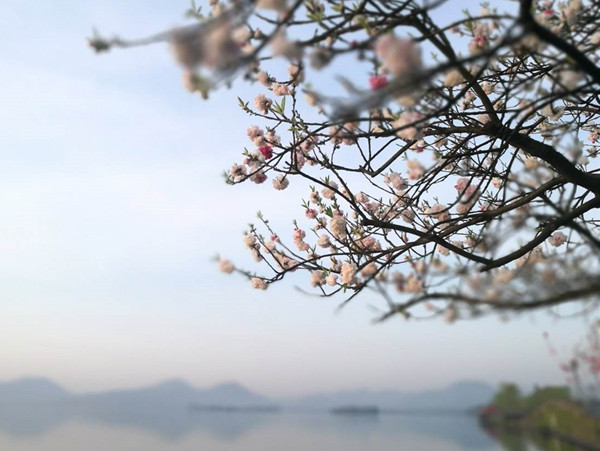 那梅.jpg