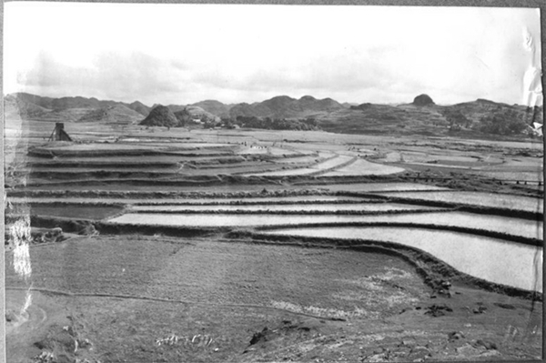 50年代开垦的田地.jpg