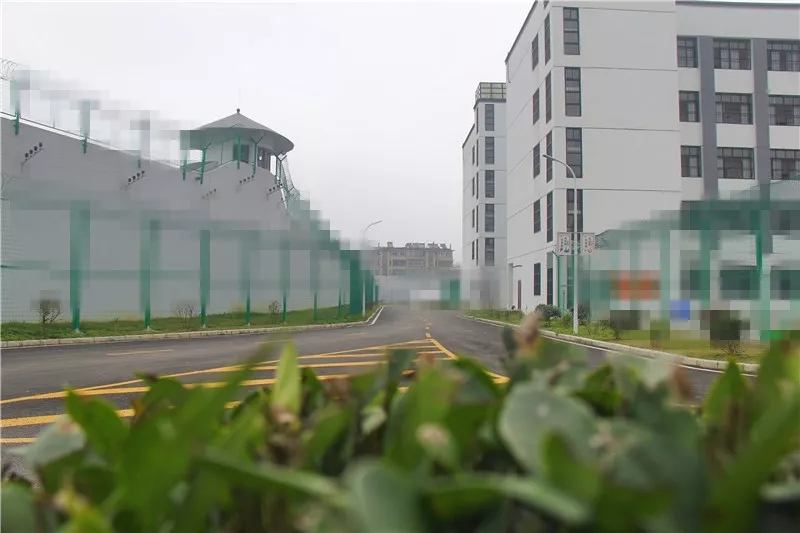 图5.jpg