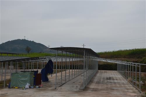 建设中的牛场2.JPG