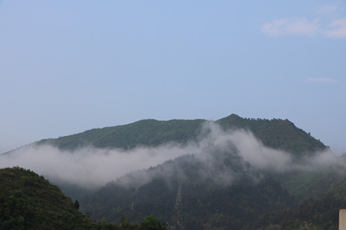 IMG_2852.JPG